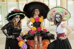 Life of the dead
